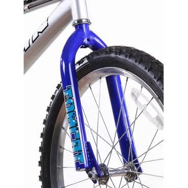 Titan Tomcat Boys 20" BMX Bike – Silver and Blue Frame