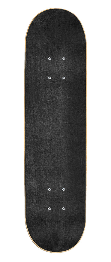 PUNISHER® SKATEBOARDS | YOUTH SERIES | JESTER BEGINNER COMPLETE SKATEBOARD